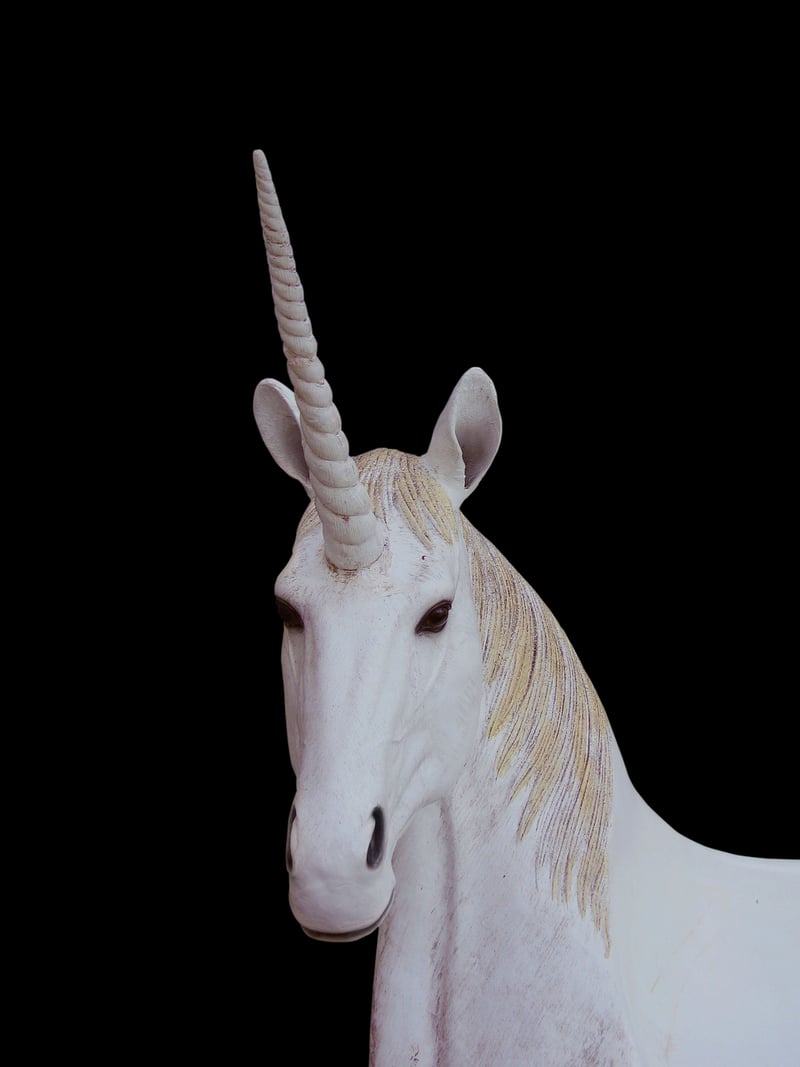 Enchanted Unicorn